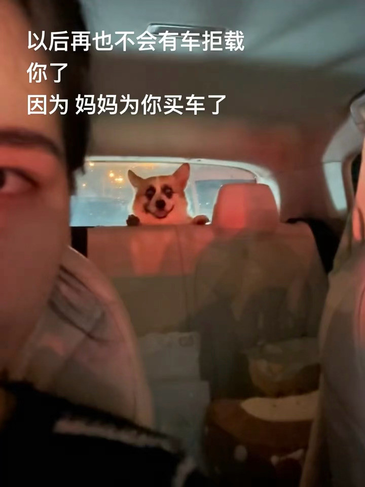 换我我也拒载🥲