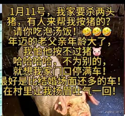 笑不活了！一个人怎么能闯出如此大祸呢？明明是想喊点网友帮忙按年猪，没曾想一生爱凑