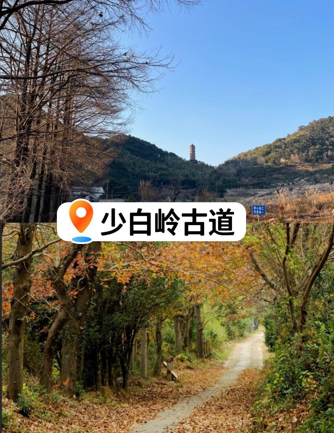 亲子友好的徒步环线—少白岭古道📍宁波少白岭古道市区半小时内就能直达，全程