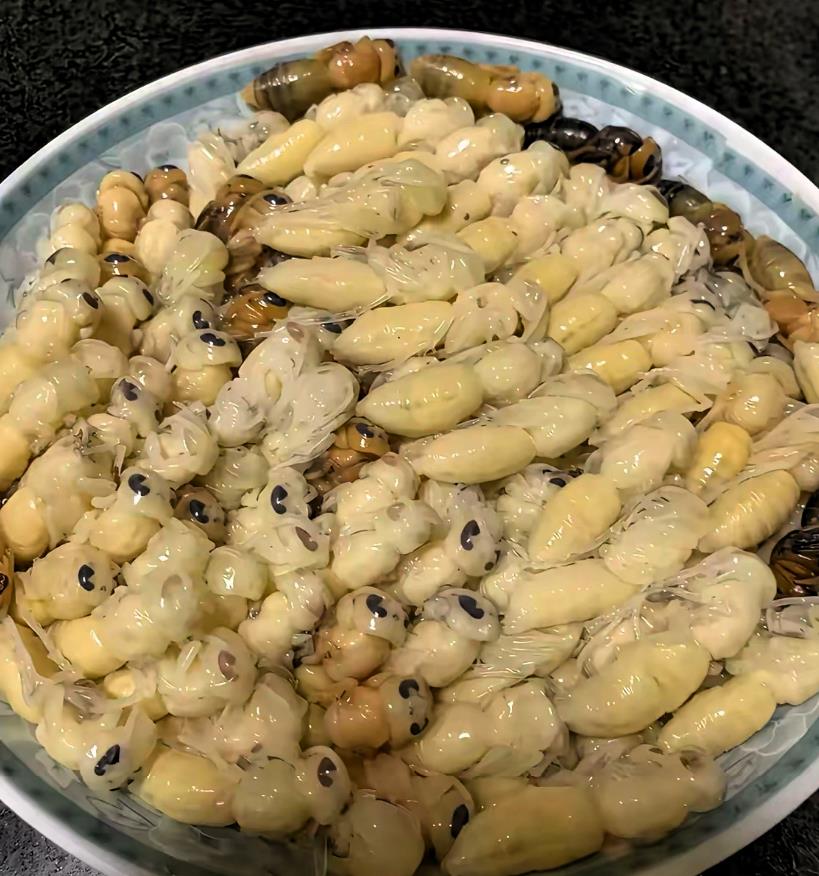 这个要怎么做才好吃？