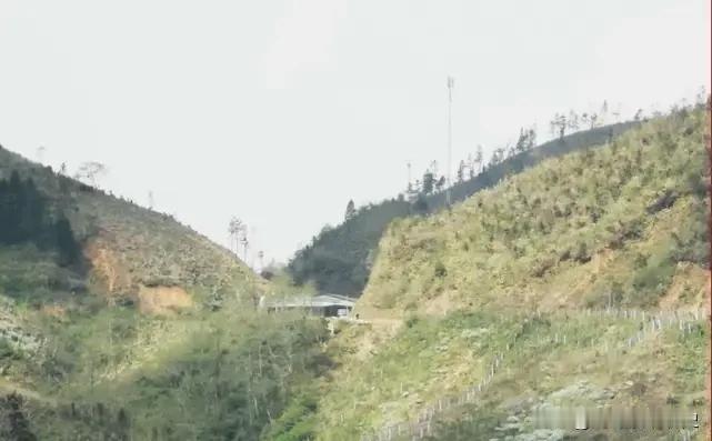 1979年新寨垭口：297人倒在这里，只为给祖国撕开一道口子凌晨三点，新寨垭