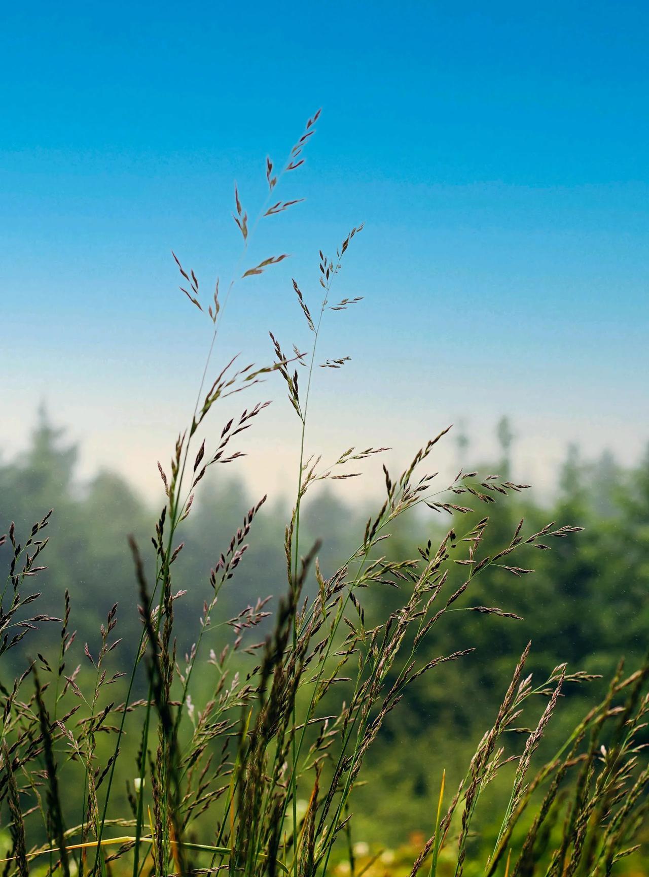 刷到一段话：“其实大部分人普遍都很压抑都不快乐，因为快乐背后紧跟的是负罪感。不敢