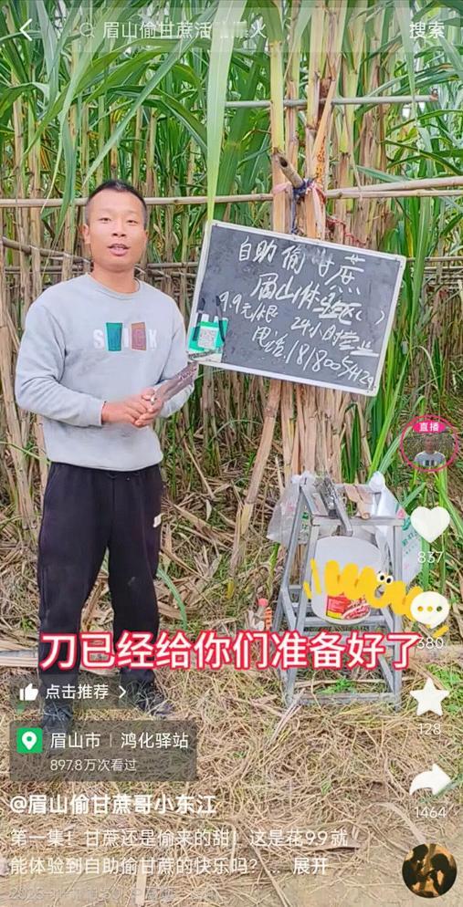 甘蔗哥这波流量，甜里掺着点酸继“鸡排哥”之后，又一个“哥”凭着接地气的操作爆火