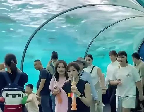 全红婵珠海长隆欢乐游，褪下赛场光环秒变回16岁活力少女。全红婵现身珠海长隆海洋