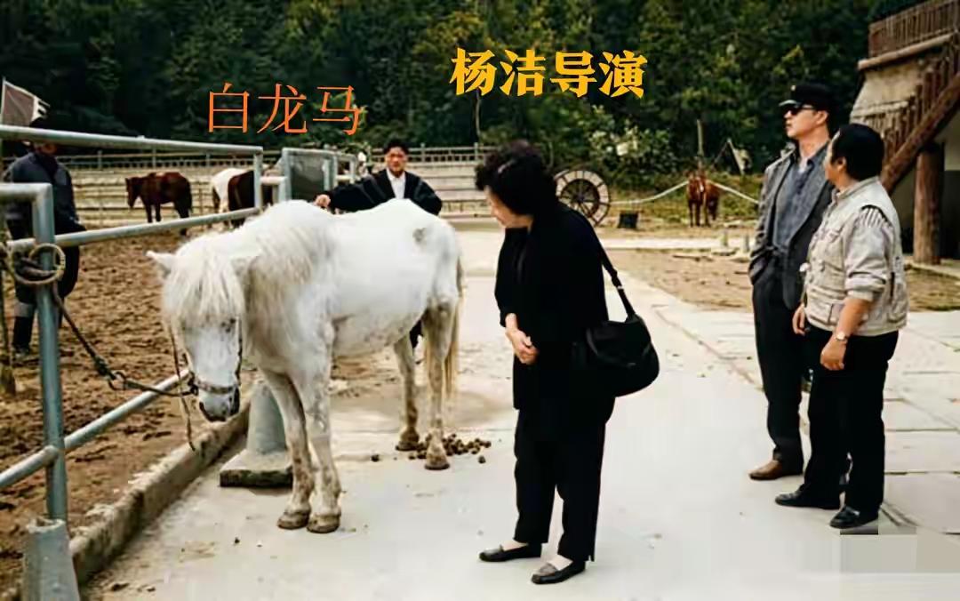 王铎：杨洁与白龙马偶遇杨洁后来气愤地说：她真没想到，这么聪明的白龙马，在拍过