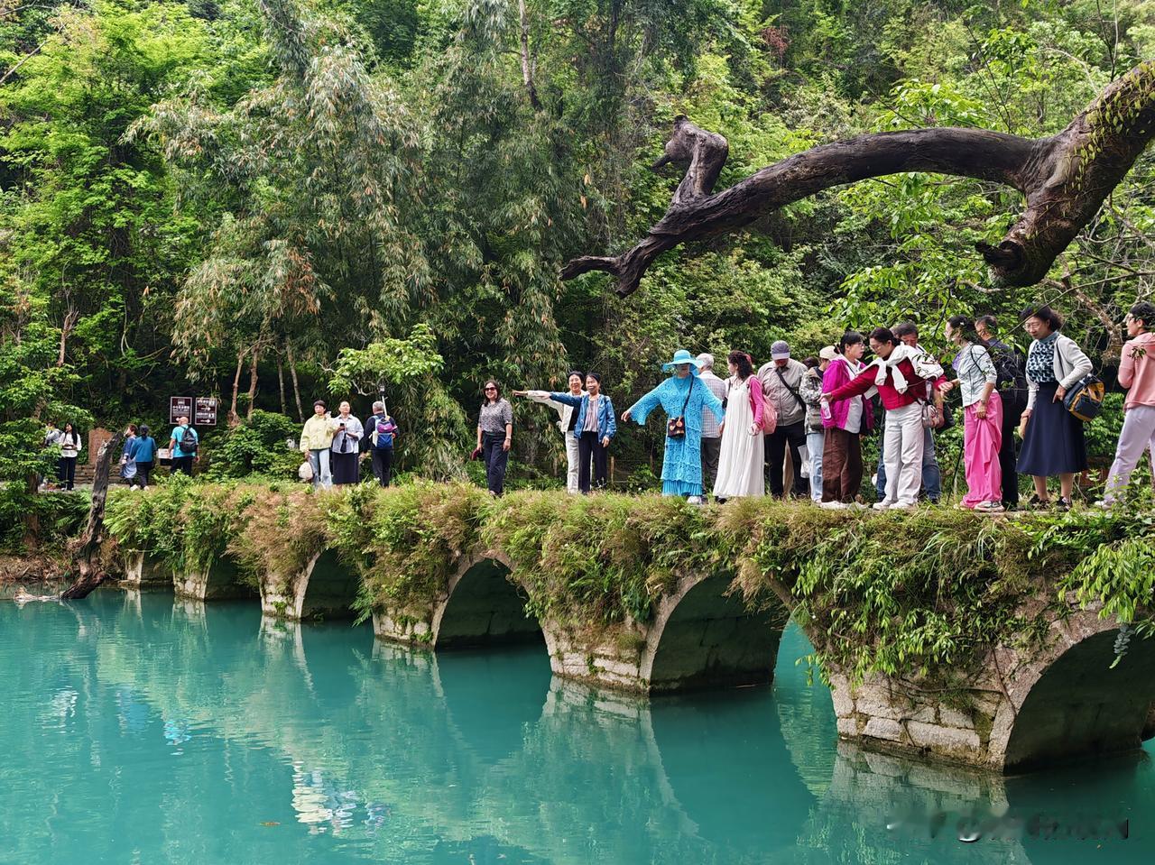 虎哥这两天都在荔波自由行，最近天气都不是太好，但不虚之行。虎哥在七孔桥景区，既惊