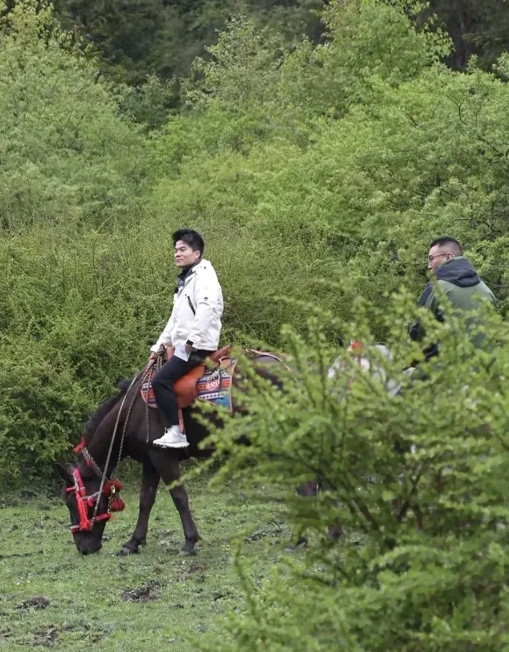 董宇辉是有格局的这次四川之行成都只有半天重点都在阿坝，原因令人动容宇辉说