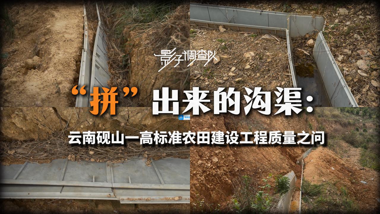 说真的，这事看完让人挺堵得慌。云南砚山县花了2055万财政资金搞高标准农田，结