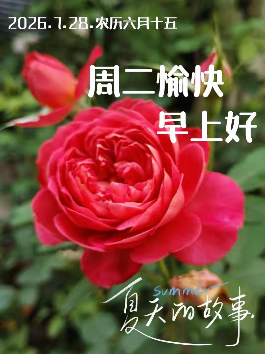 晨光熹微，愿这缕温暖照亮你的心房。新的一天，愿你笑容如阳光般灿烂，心情如晨风般舒