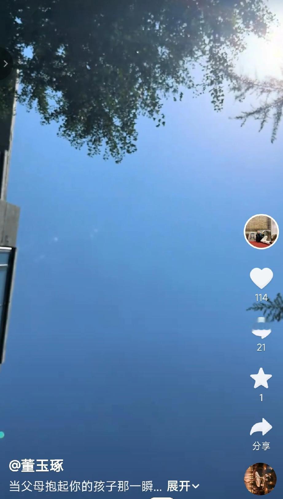 董董发的董礼貌小朋友在遛弯时的视角。这也是我们所有人儿时的视角。董董这个视频发的