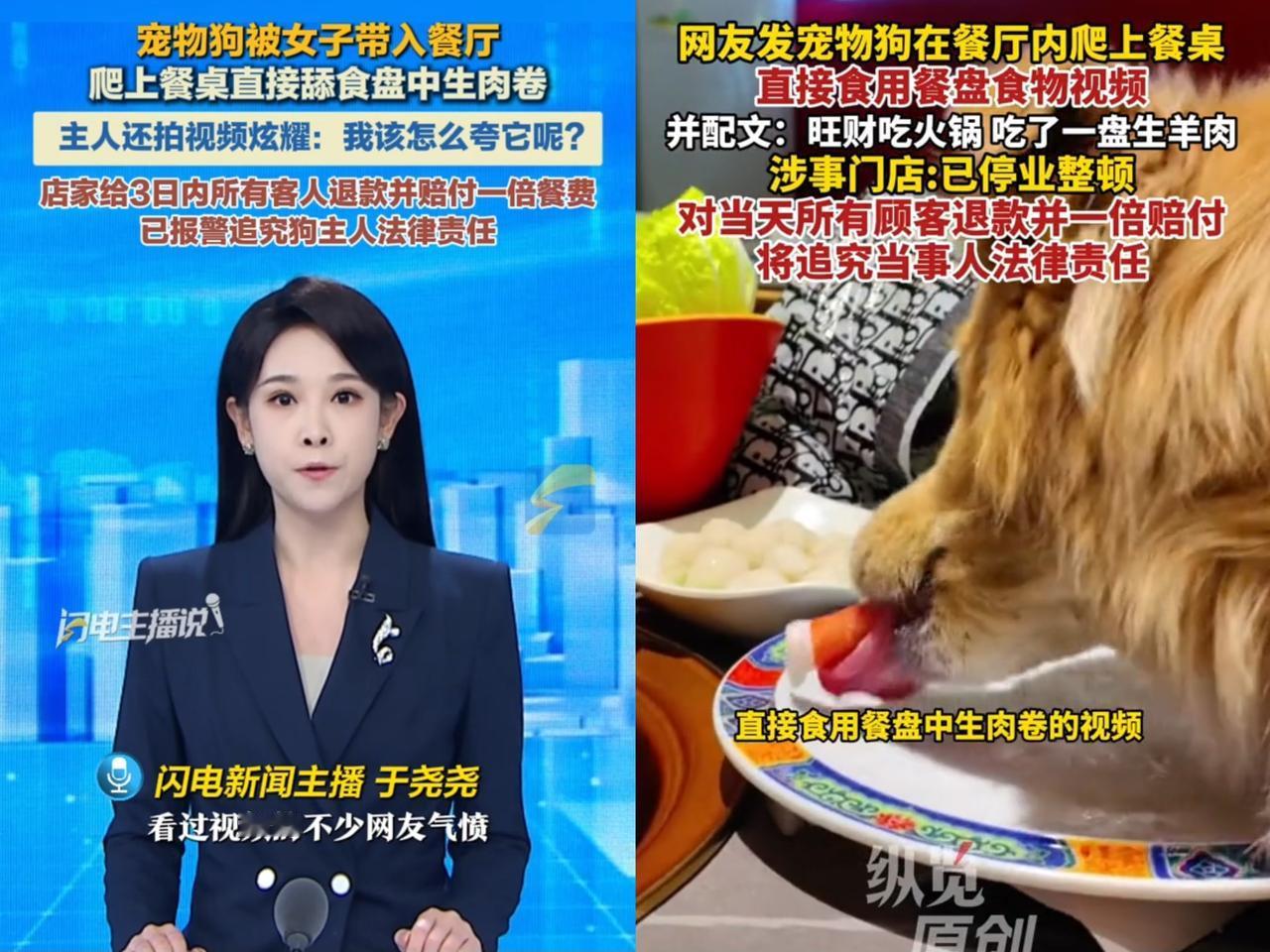 一觉醒来，那个带狗吃涮肉女子的世界仿佛崩塌了。她怎么也想不到自己疼狗的举