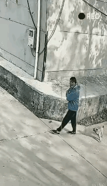 近日，浙江省杭州市禁狗令，让全国各地的民众为其叫好啊！杭州市规定：遛狗时间为每天