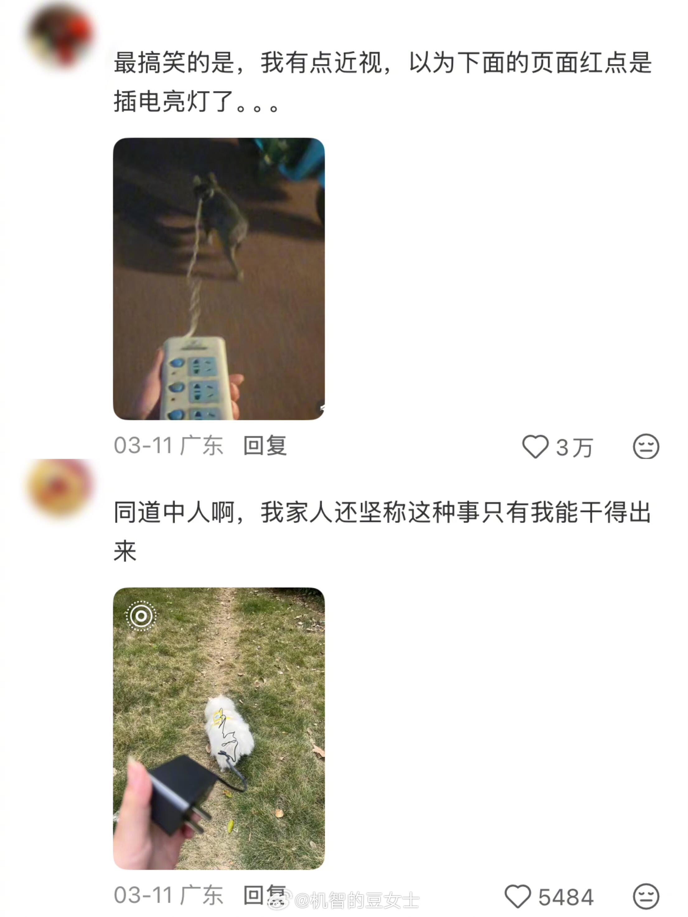 万物皆可遛狗绳我的幽默灵感片场人间值得有欢喜