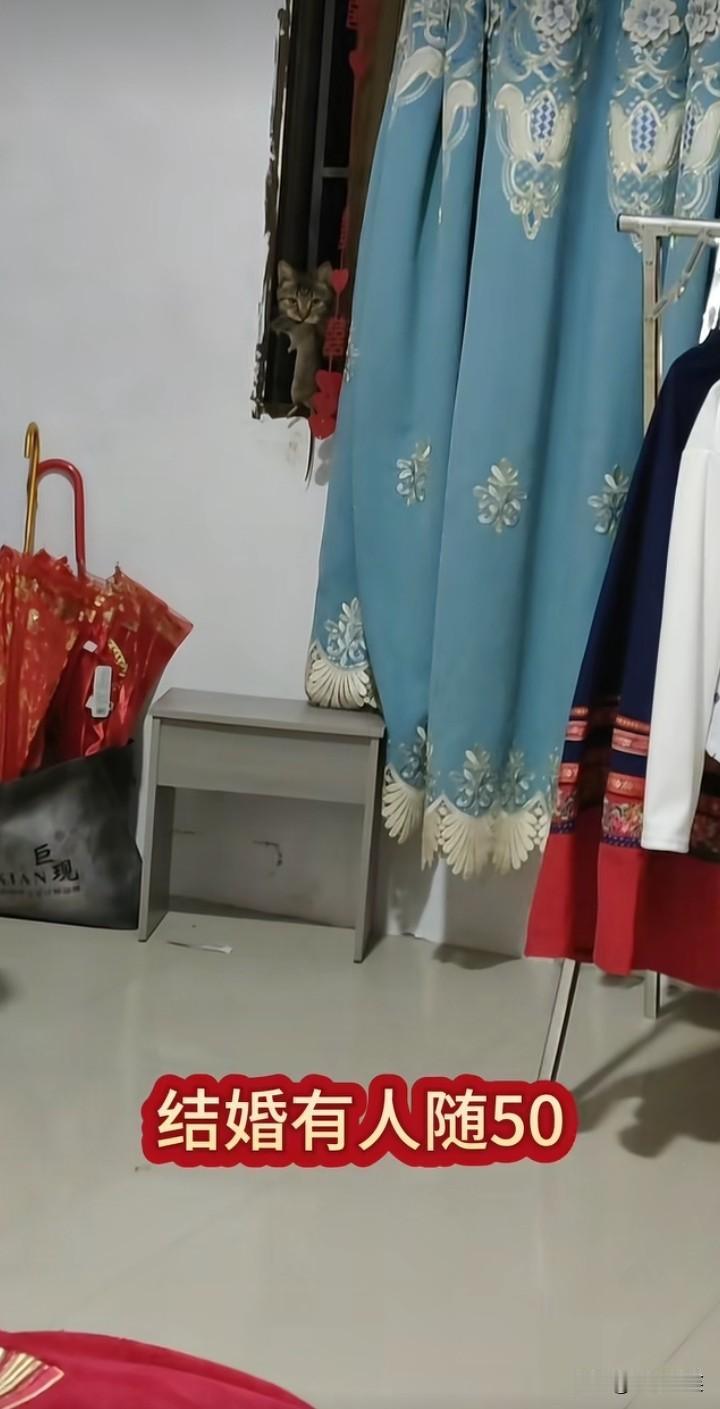 太喜感了！贵州一女孩结婚当天，发现自家的猫捉了一只老鼠给她送过来了！女孩不禁笑出