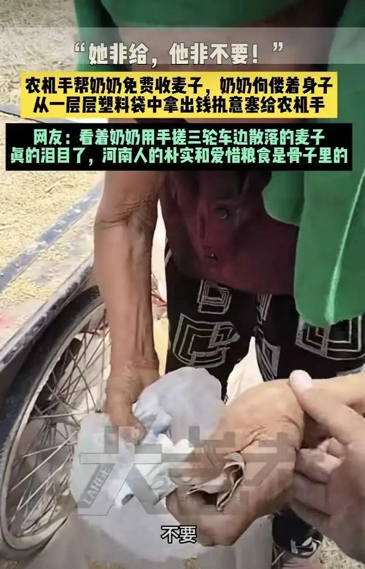 河南，开收割机的师傅正准备收工走人，突然窜出来个70多岁的老太太，“哐当”一下就