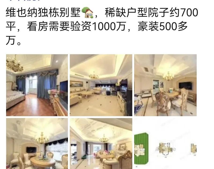 合肥又一个大佬要卖房子。维也纳别墅，成熟的地段。但是看房都要验资1000万，这个