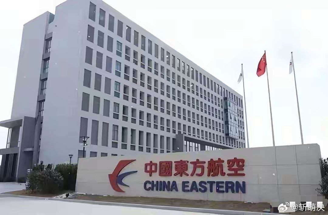 大闹航班的欧某某最新进展！企业迟迟不敢认领，背后缘由太现实​​​
