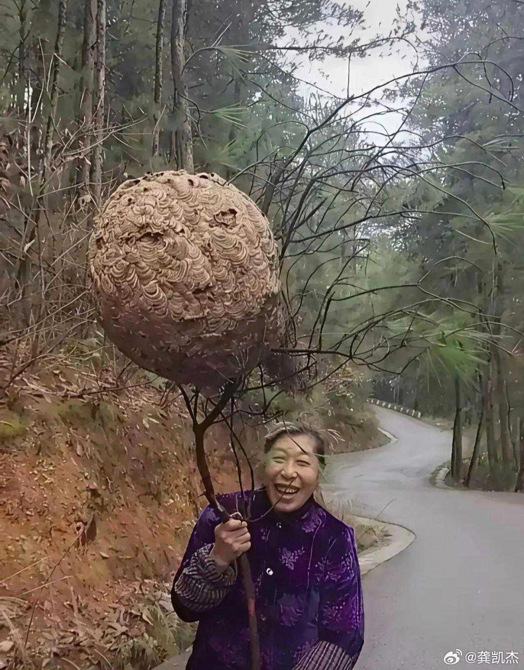 这拿着的是啥玩意？