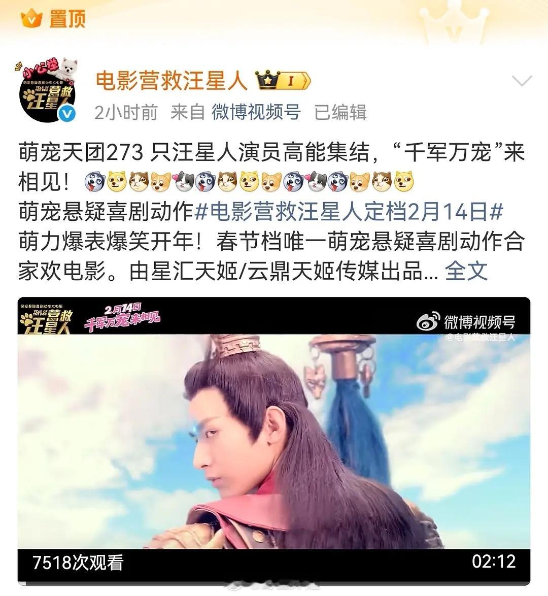 春节档又来一部“解救汪星人”？？成毅啥时候拍的