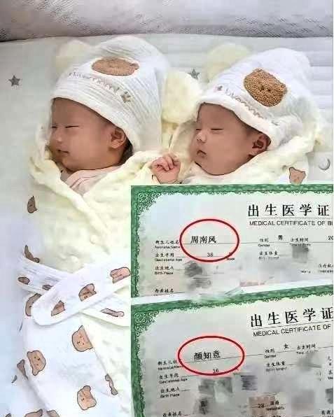 惊！这对龙凤胎的名字直接封神，网友：文化人起名果然杀疯了！男孩叫周南风，女孩