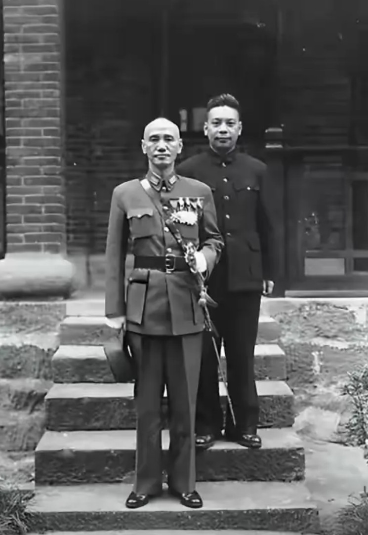 杨亚洲导演这回可是火出圈了，倪萍老师心里想必也是喜不自胜，毕竟杨导的作品《沉默的