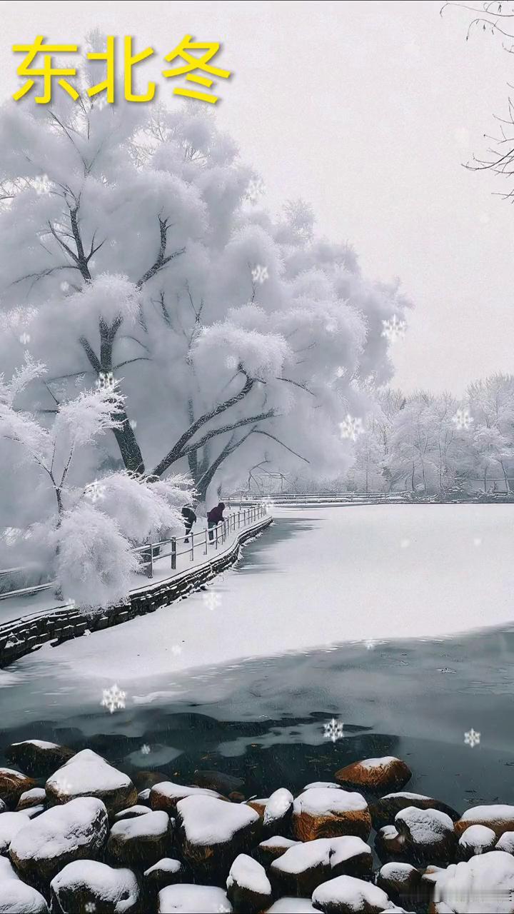 东北冬。拈花我一笑。红红的干辣椒，强爱国，去打肿瘤。