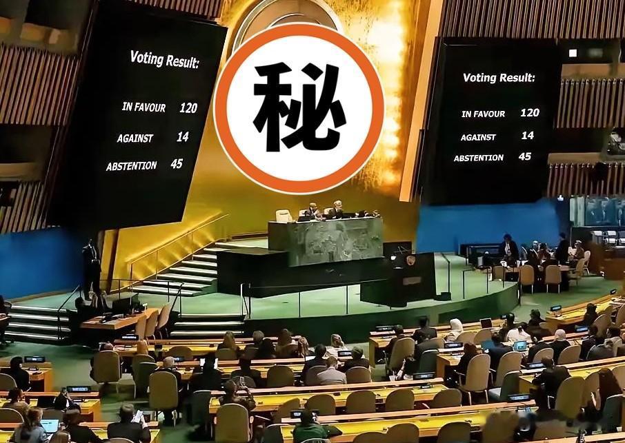 果然没意外，第80届联大传来实锤！第80届联合国大会上，中国和俄罗斯明确