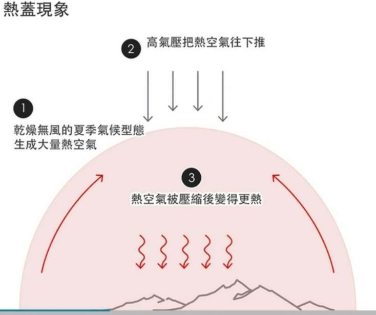 超40℃极端高温席卷多国！我国今年要迎来40天加长版三伏天，会不会也很热？的