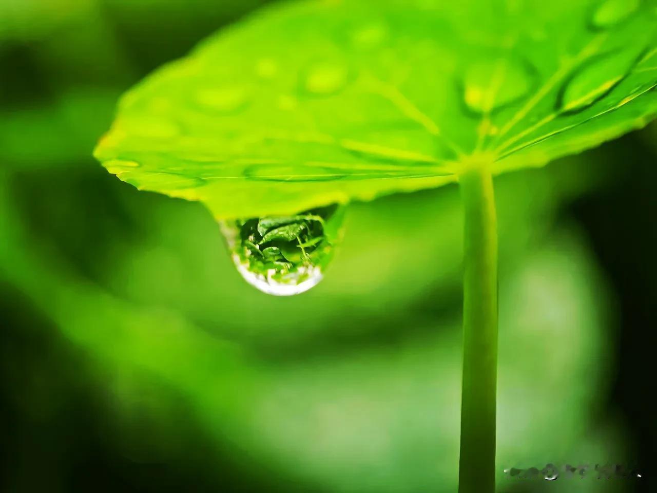 人到晚年，家里仍有健在的父母，是好事还是坏事？这个问题是一个非常有趣的问题，我