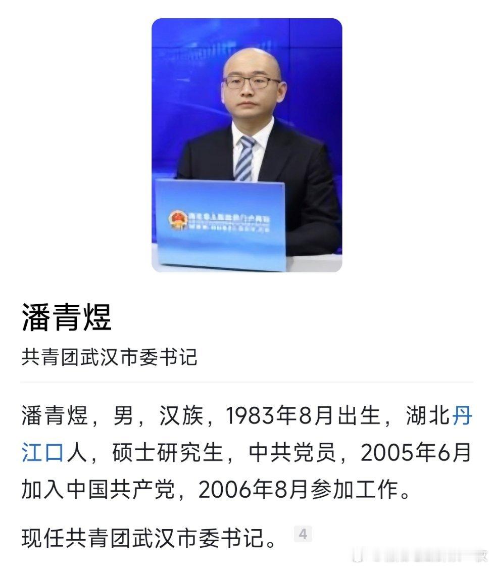 潘青煜已任共青团武汉市委书记。