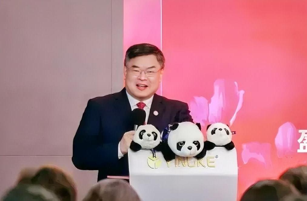 从草根逆袭到黯然辞职！盈科梅向荣坠落，撕开律所行业狂飙真相月薪500元挤公