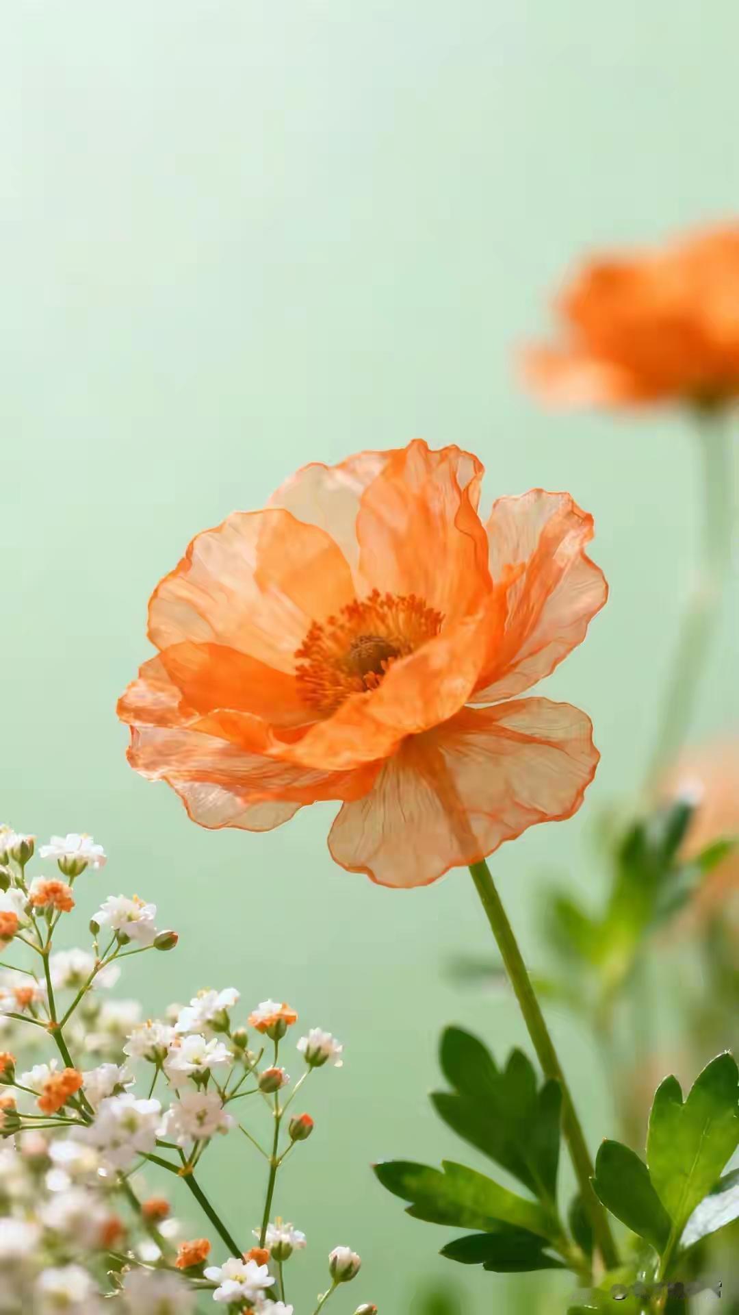 说一件往事。小时候，我和妹妹在家，只要爸爸一起床，我们就别想再睡。他刷牙、摔