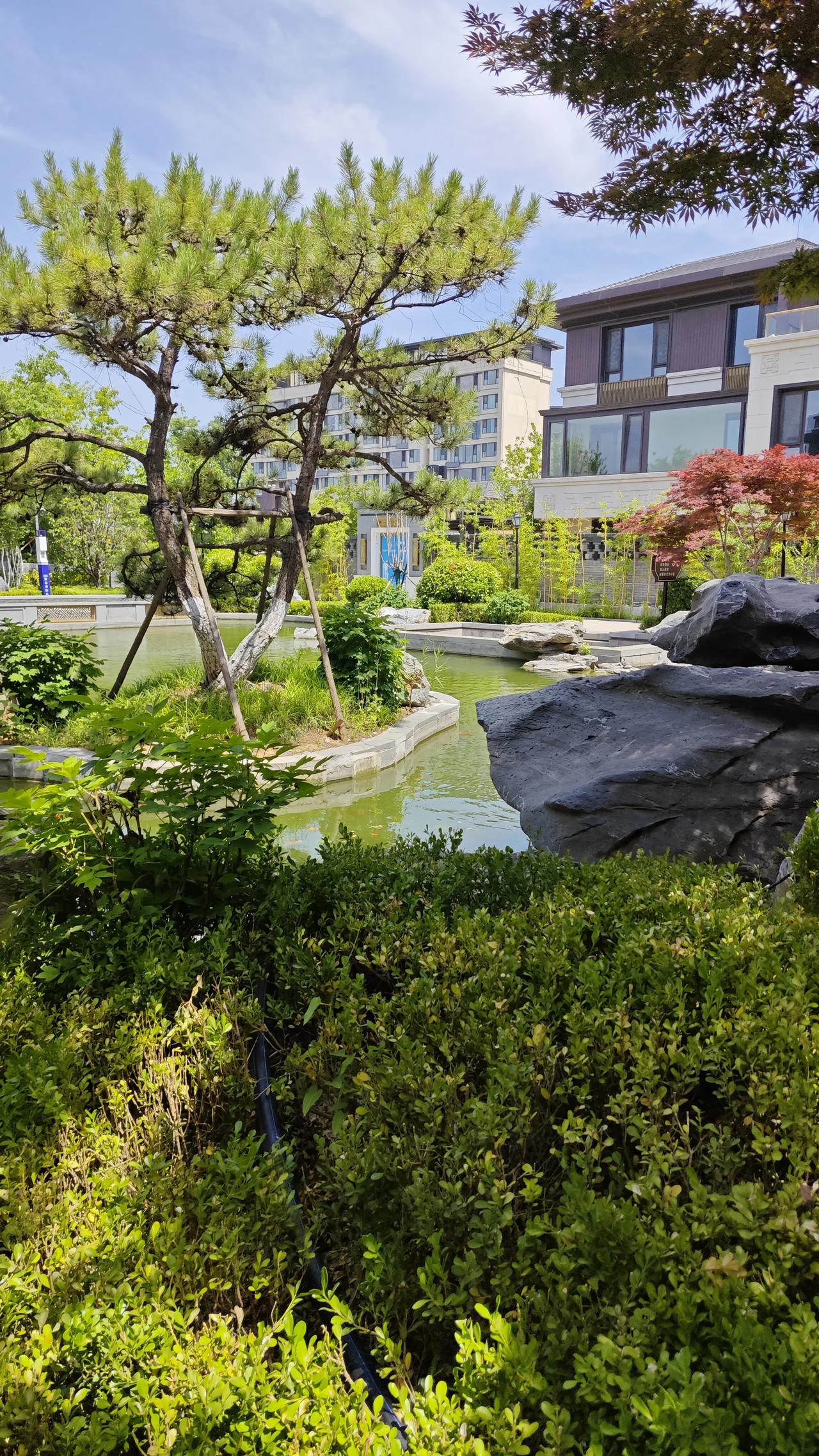 奉劝大家一定要少买衣服。我同事40岁，一年四季都要买很多衣服，现在家里的衣