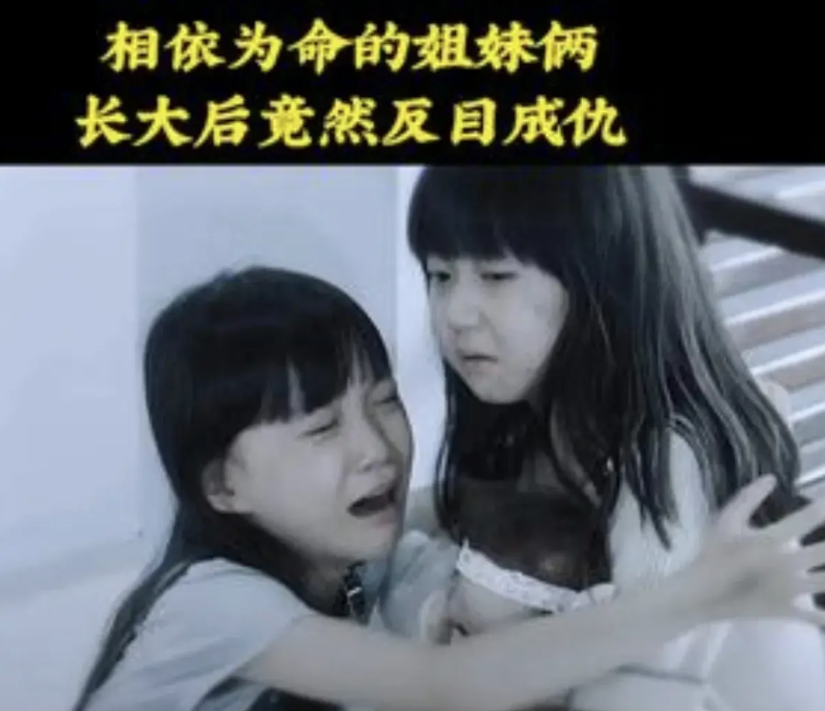 广西荔浦，两姐妹的母亲意外离世，没有留下遗嘱，名下有46万的存款，妹妹觉得姐姐早