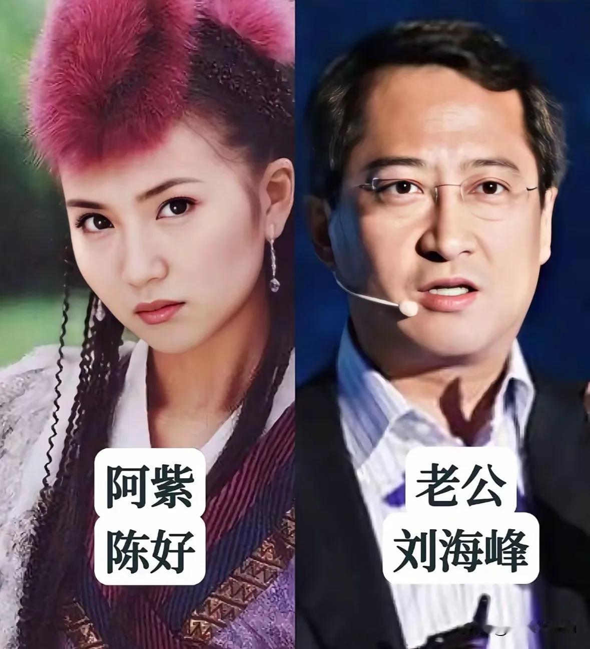 胡军夫妻俩。陈好夫妻俩。刘涛夫妻俩。修庆夫妻俩。张蕊夫妻俩。林志颖夫妻