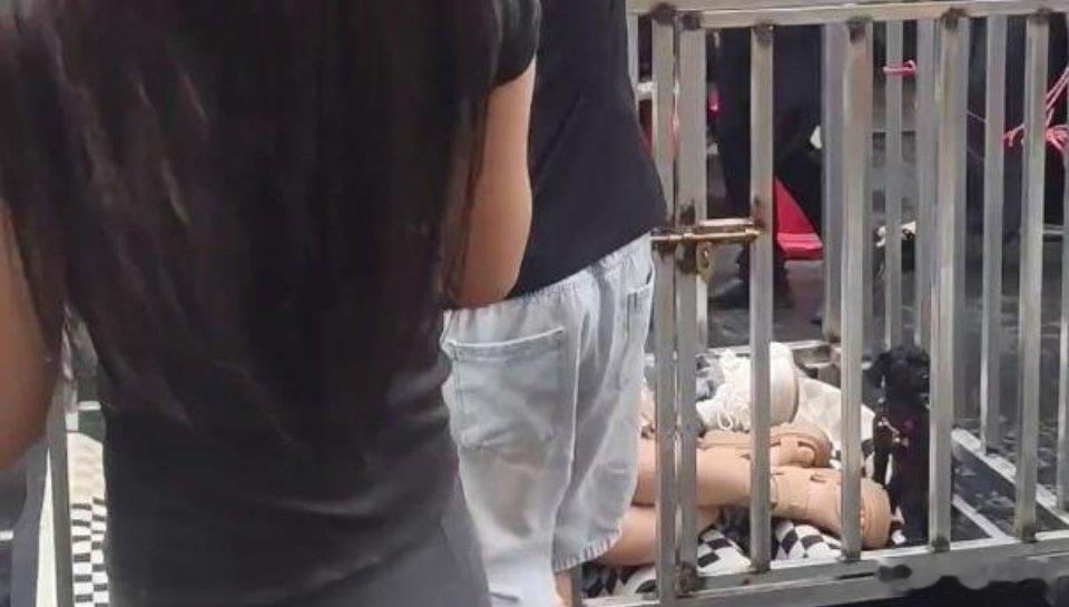 湖南两女子和狗被关笼中游街刷到相关网传视频真的触目惊心，两名女子和黑狗一同被关在