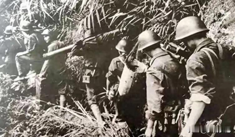 致命潜伏！1979年战场惊魂一刻，新兵班长一眼识破奸细，救下全队伤员197