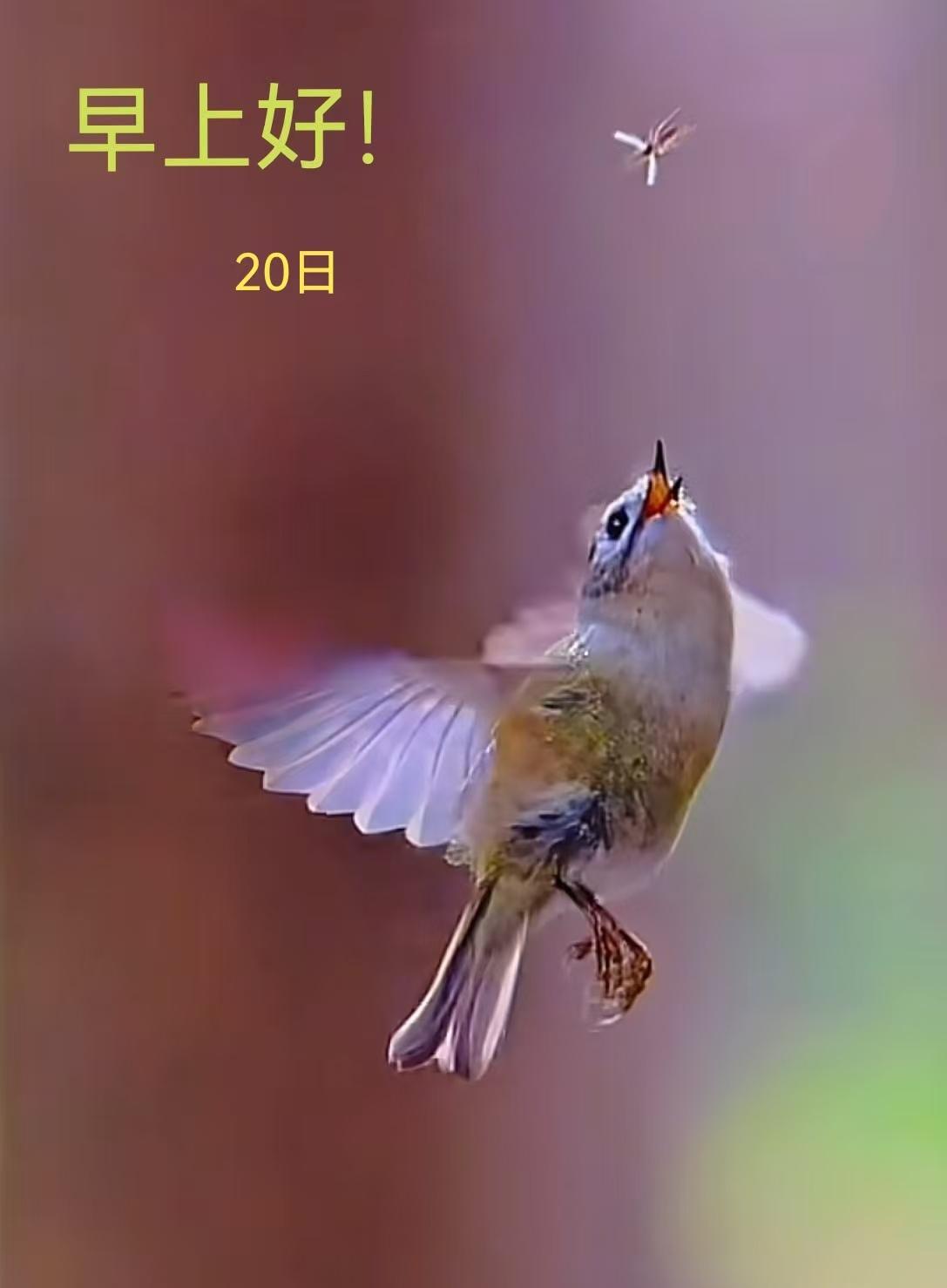 “你老师不就是教书本吗？别把自己看得有多了不起！”一篇头条写了关于有些人动不