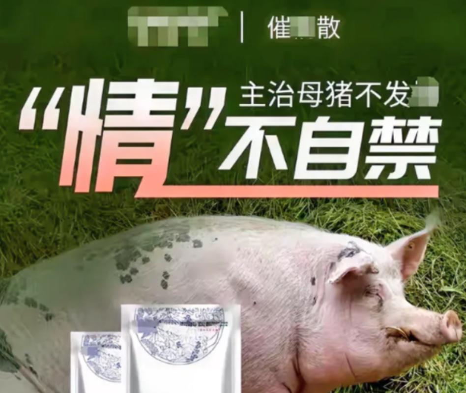 [点赞]2019年小伙往饮水机投放母猪催情剂长达两年，却无一人发现，直到整个单