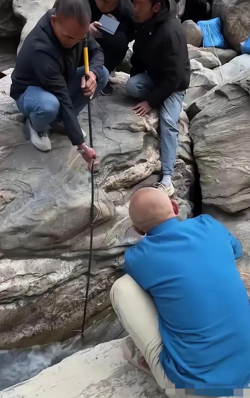 本来都已经放弃救援了，没过几天，家属提出了一个让人无法拒绝的请求。家属希望：不