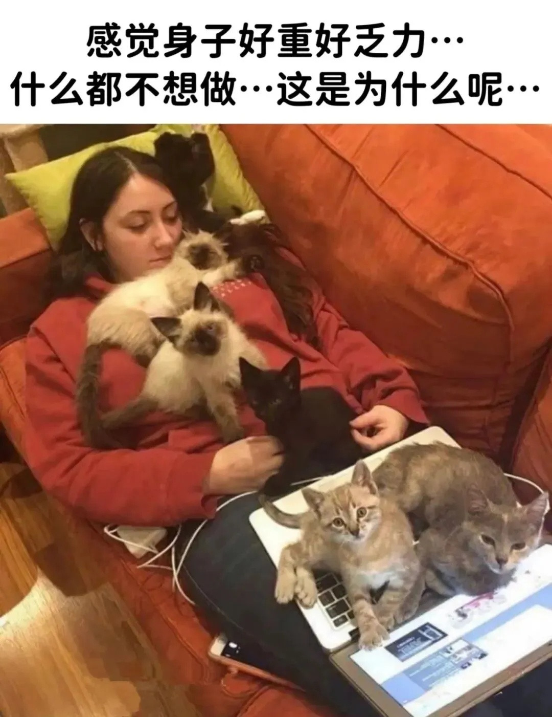 抱不过来了​​​