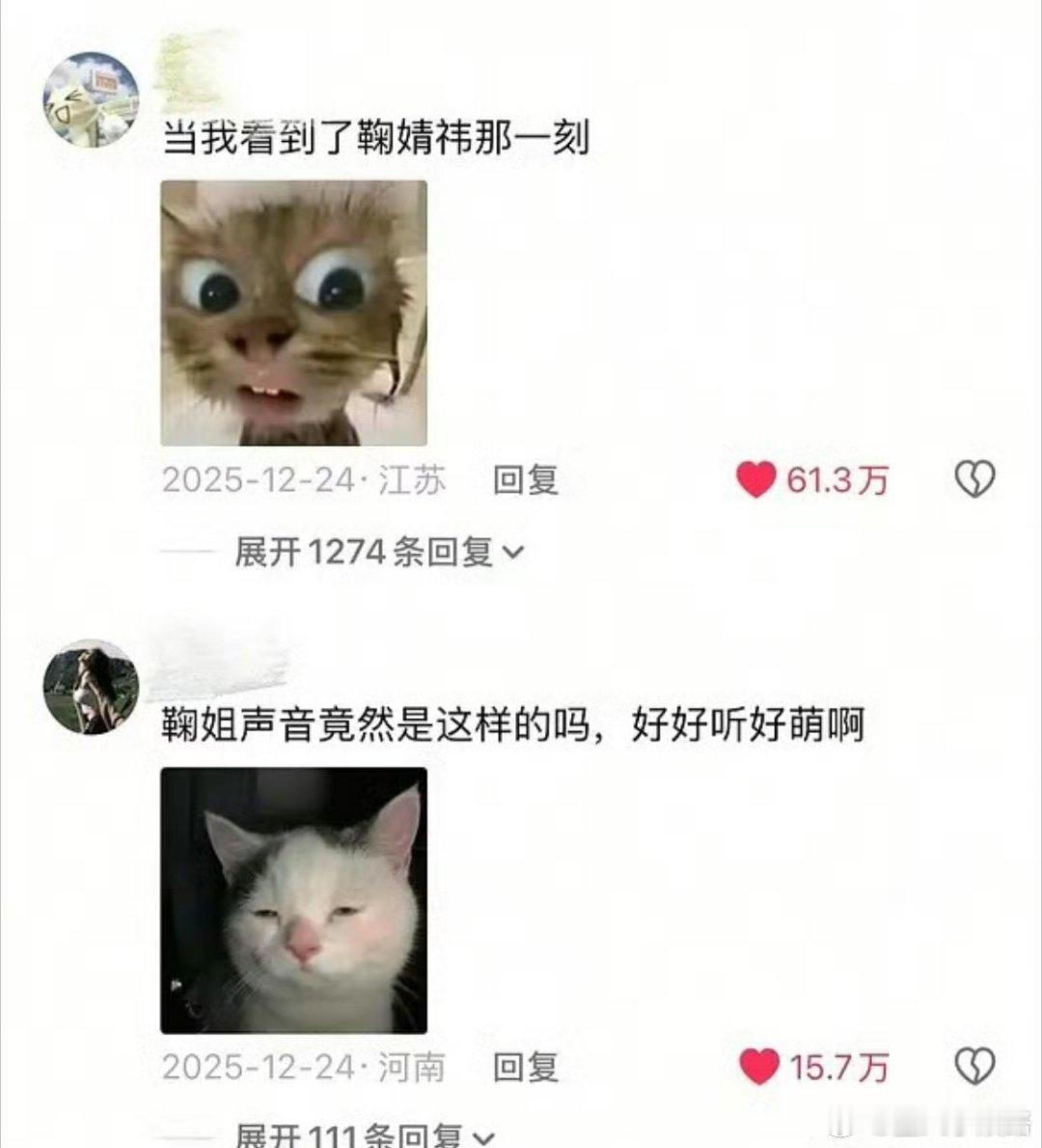 陈都灵鞠婧祎谁的路人缘更好