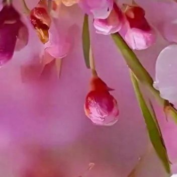 正能量正能量不要和往事过不去，因为它已经过去不要和现实过不去，因为你还要过下去