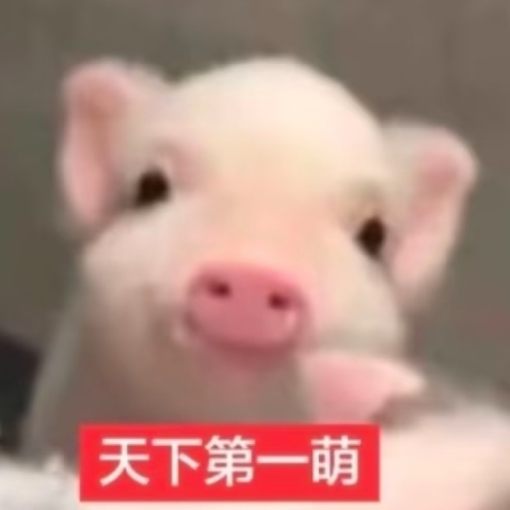 安利一下你最近追的剧