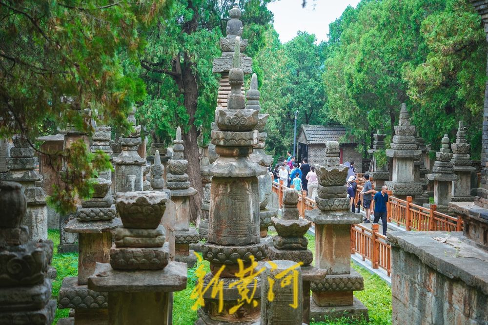 “这一圈小山在冬天特别可爱”