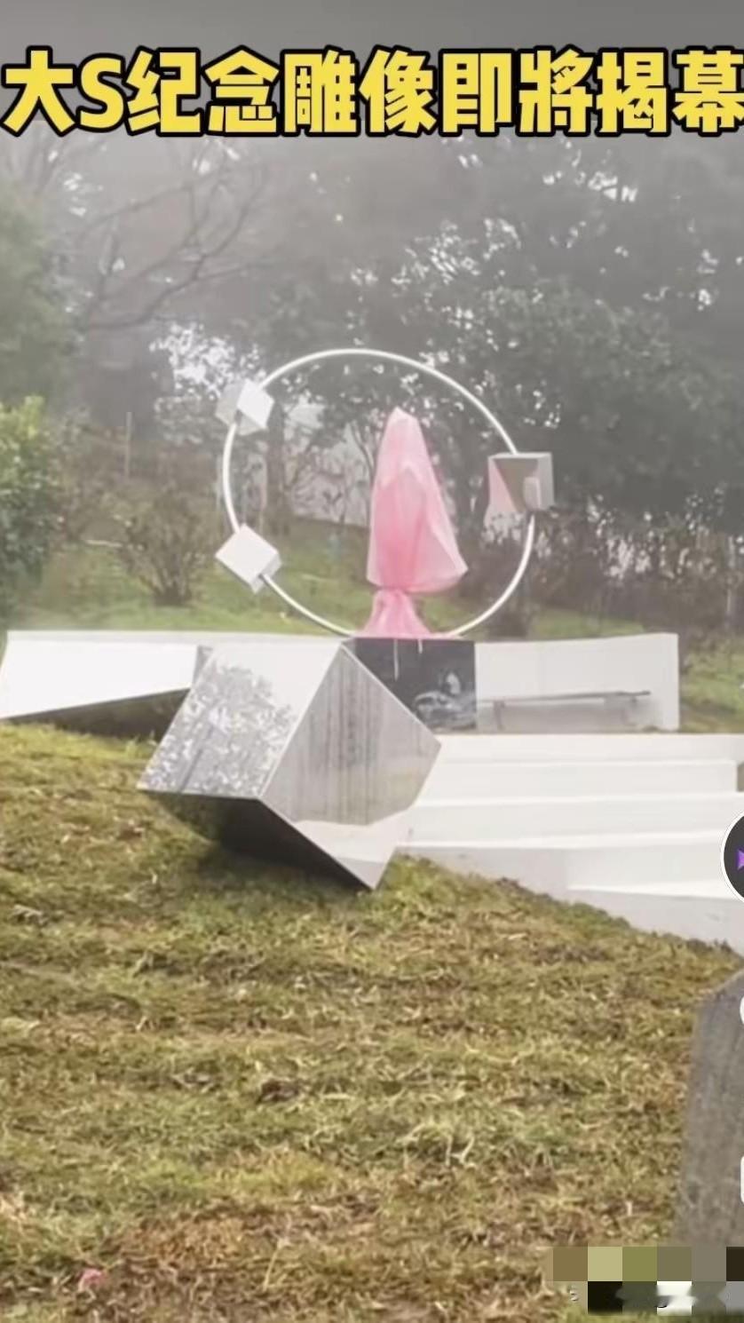 2月2日上午，大S在金宝山的未揭幕的雕像已换成粉红色盖头了，此前是黑色塑料布的。