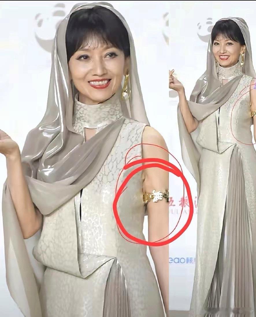 金熊猫颁奖典礼上，赵雅芝的造型特别吸睛——一身长裙搭配高端大气的礼服，发量肉眼可
