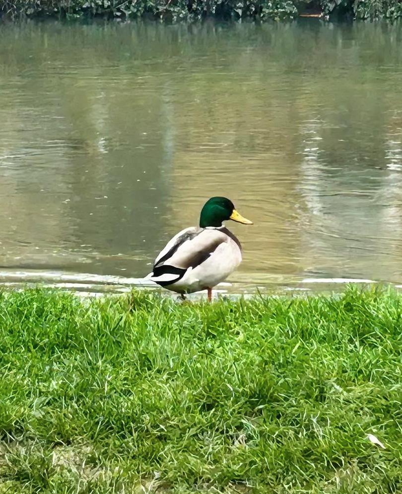 大家有没有发现，大多数想离婚女人都逃不开这三个通病！厨房飘来焦糊味时，她