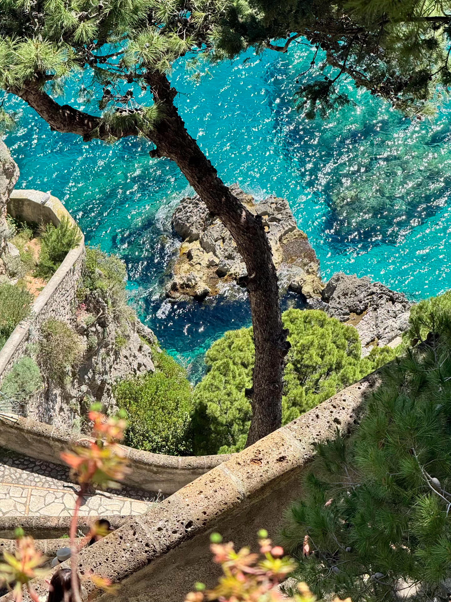 之前旅行计划，搁置了半年。各种事情围绕，一直走不开。弟弟的情况前几天和朱医生通了
