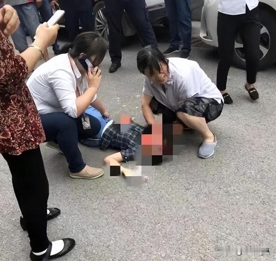 一只慢吞吞的乌龟，竟成了夺命凶器！这次的事情我都不知道该心疼“始作俑者”还是“